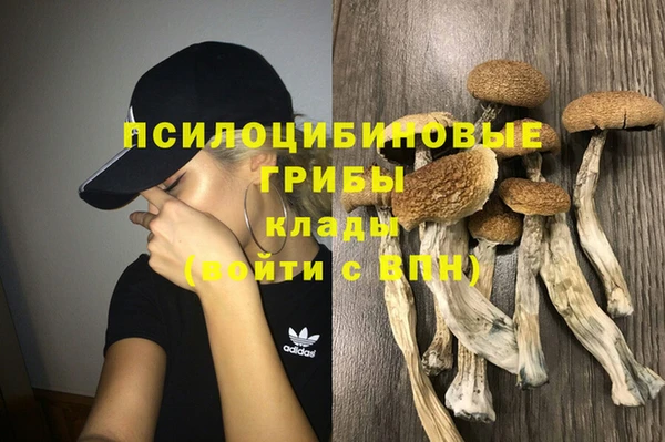 дурь Козельск