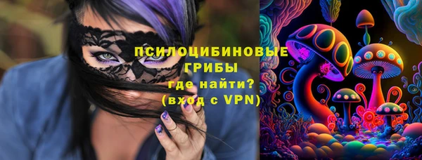 дурь Козельск