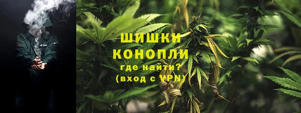 дурь Козельск
